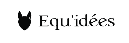Logo Equ'idées
